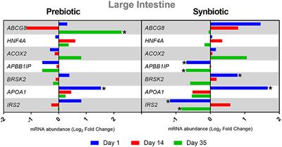 Molecular Response in Intestinal and Immune Tissues to in Ovo Administration of Inulin and the Combination of Inulin and Lactobacillus lactis Subsp. cremoris